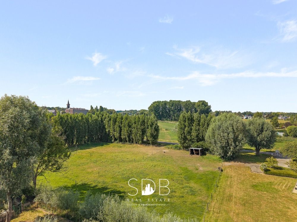 Hedendaagse villa met gezinstuin en graslanden op 7.496m2 te Destelbergen | België - Foto 3