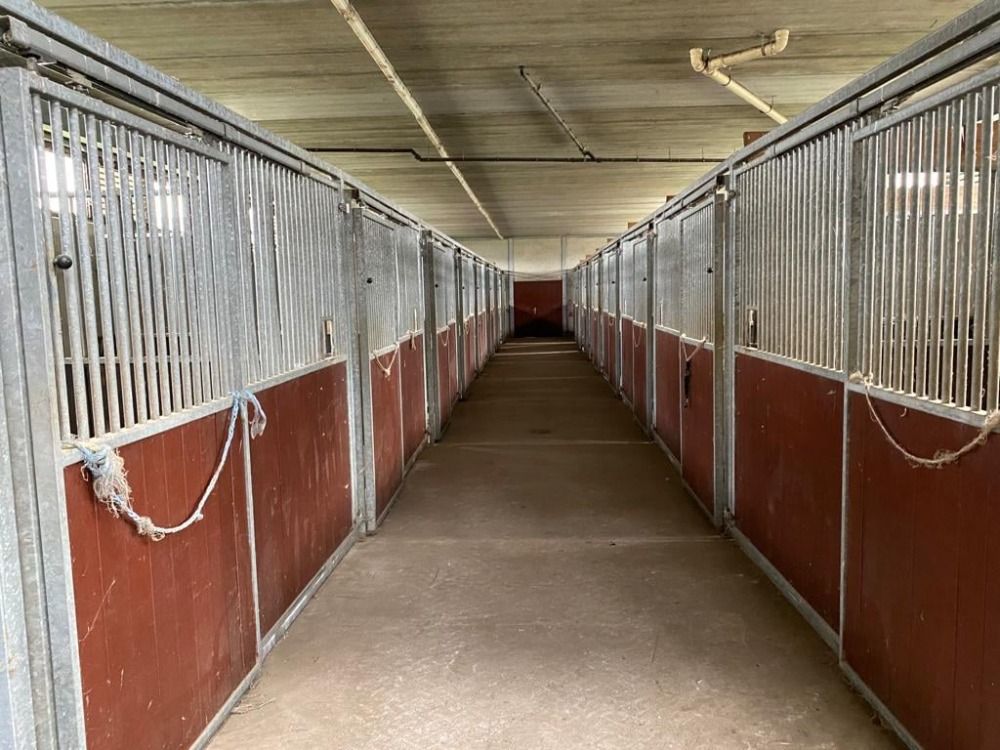 R&R Stables waar elk paard met zorg groot wordt - Foto 3