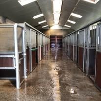 R&R Stables waar elk paard met zorg groot wordt - Foto 6