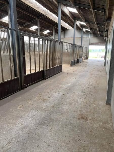R&R Stables waar elk paard met zorg groot wordt - Foto 5