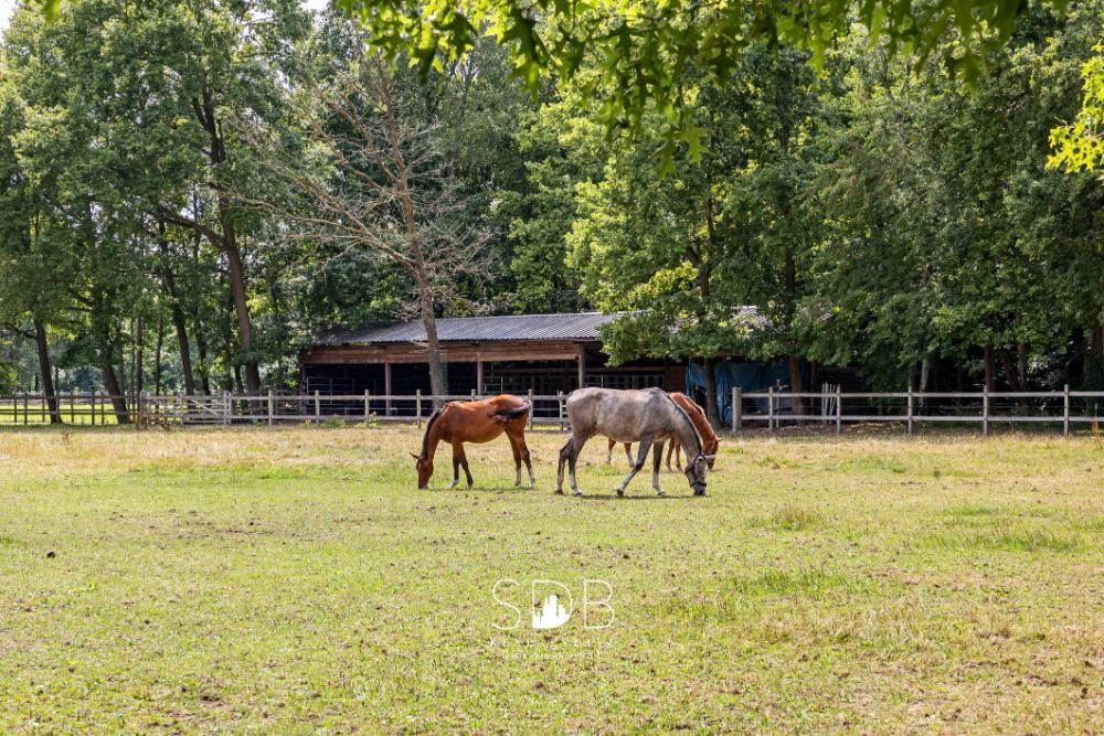 Prachtige landelijke villa met gezinstuin en graslanden op 32.558m te Lochristi | België - Foto 3