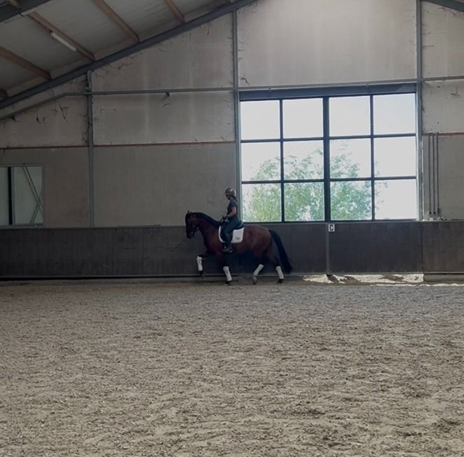 Heel fijn te rijden en betrouwbare topper! EXTRA VIDEO