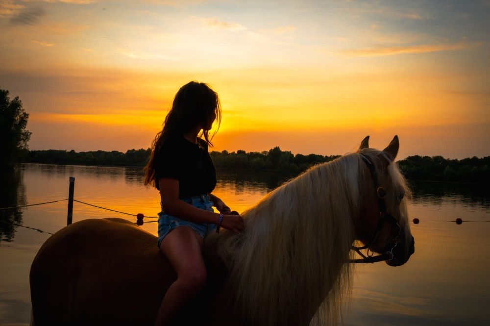 Haflinger allround-pony Merrie 7 jaar te koop - Foto 3