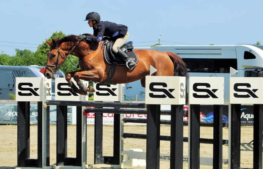 bwp springpaard merrie 10 years old vos for sale - Photo 3