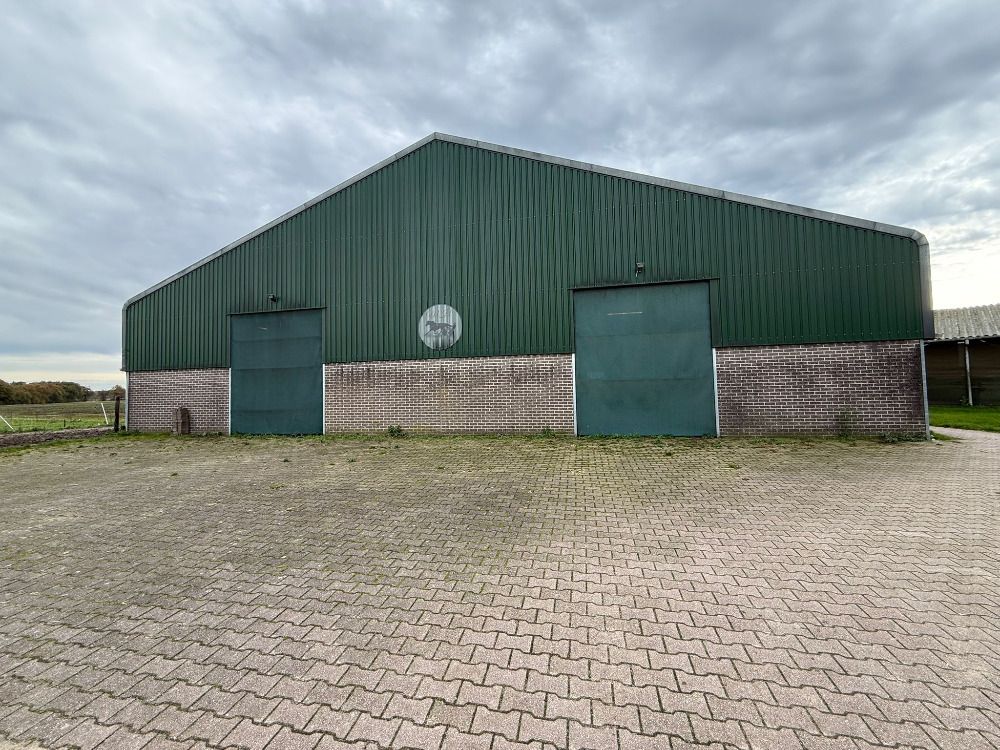 Stud farm with 56 horse stables, carousel and private racetrack with house in the village of Deurze