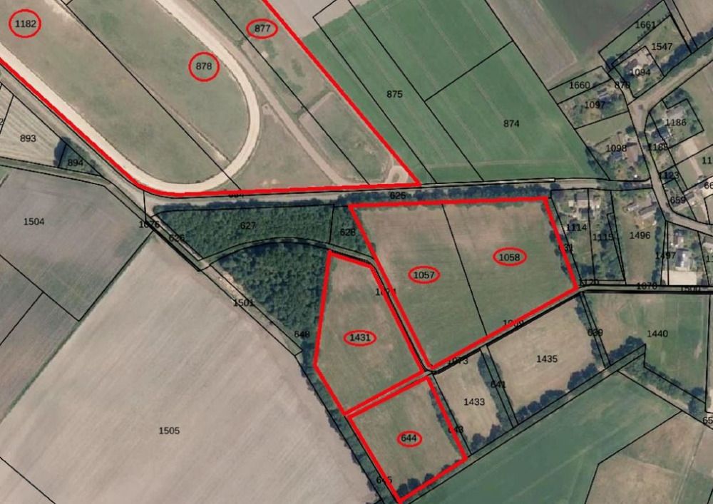 Stud farm with 56 horse stables, carousel and private racetrack with house in the village of Deurze - Photo 3