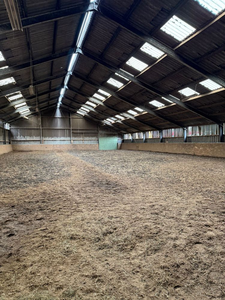 Stud farm with 56 horse stables, carousel and private racetrack with house in the village of Deurze - Photo 5