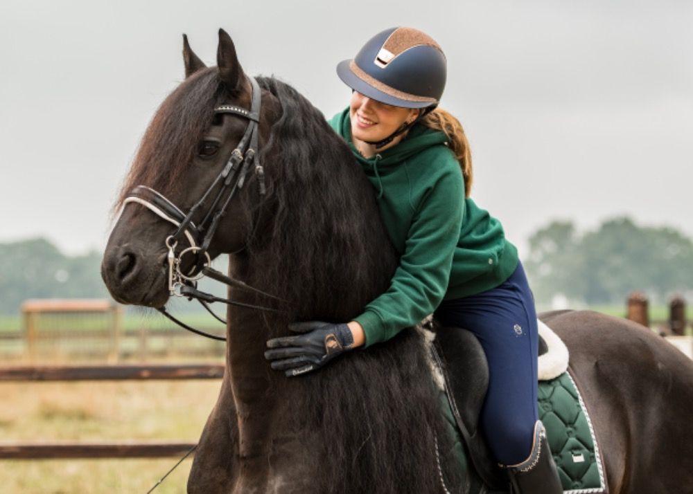 FPS (Nederland) dressuurpaard Hengst 10 jaar Zwart te koop - Foto 5
