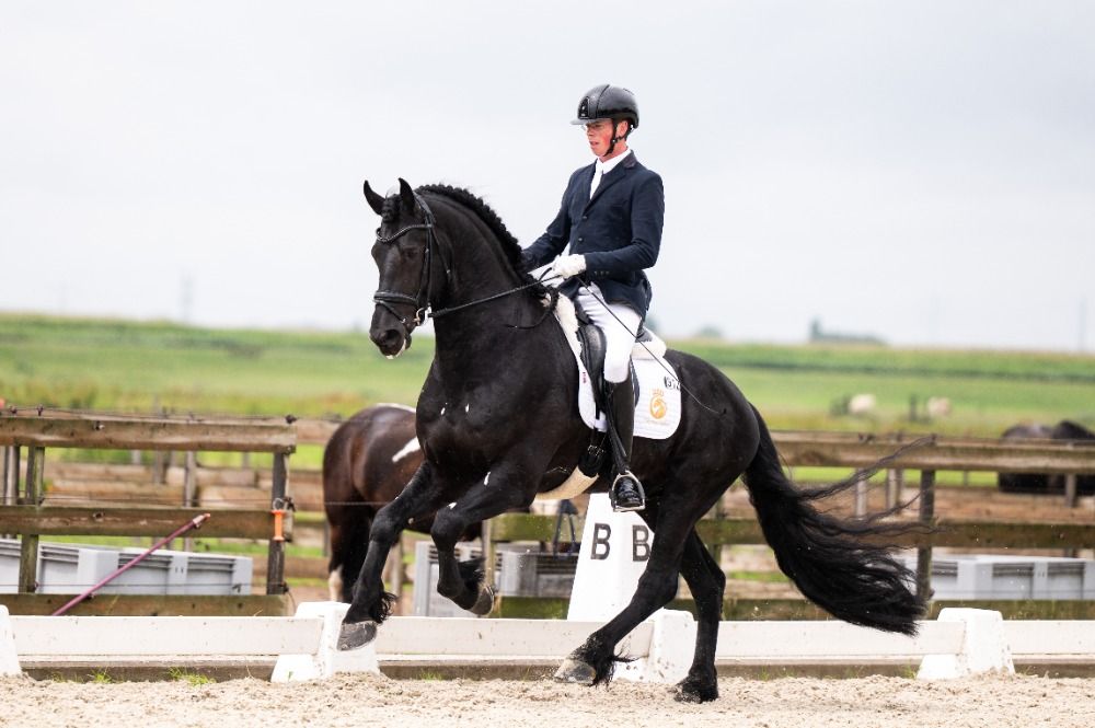 Cayenne Stables - Frisian Dressage Horses with care and quality