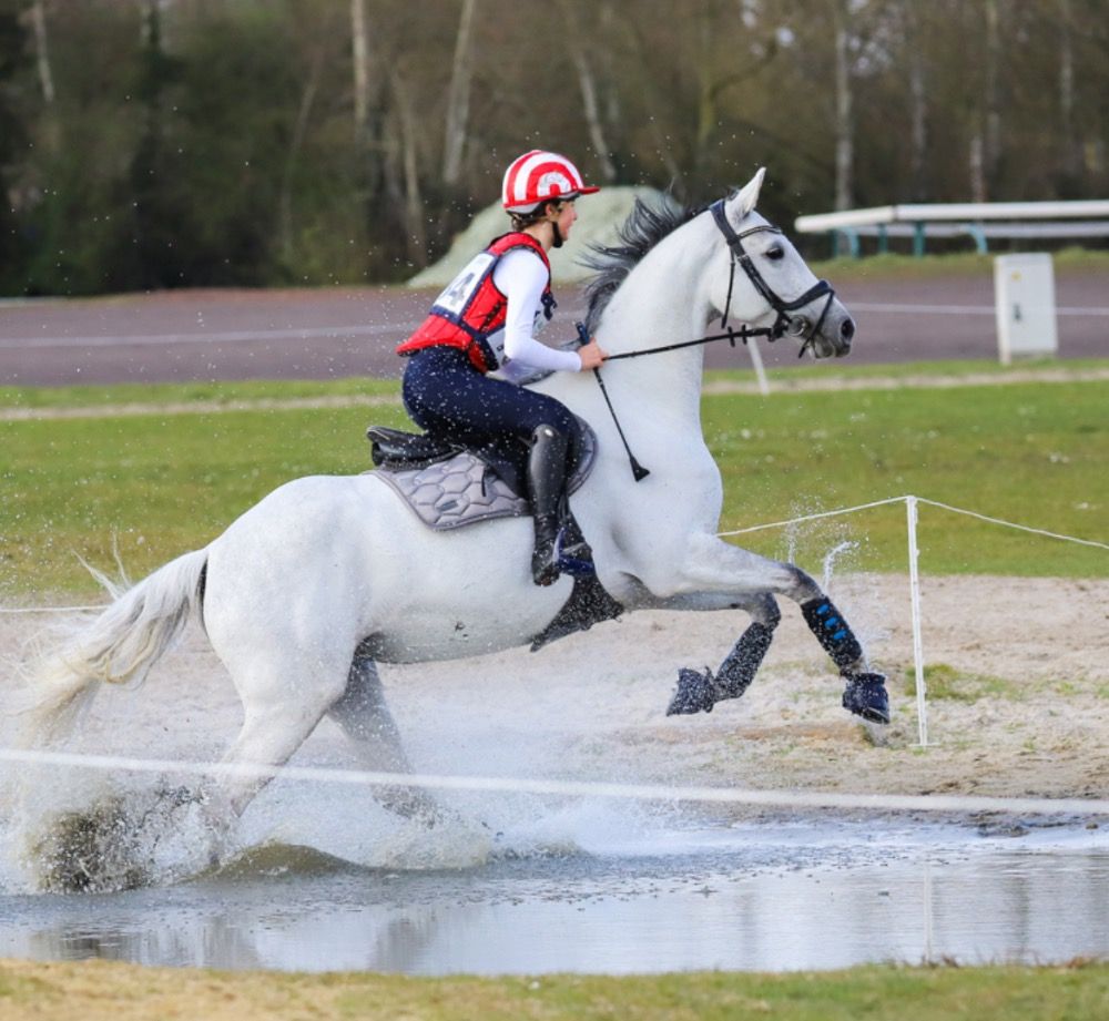Iers sportpaard eventingpaard Merrie 6 jaar Andere te koop - Foto 2
