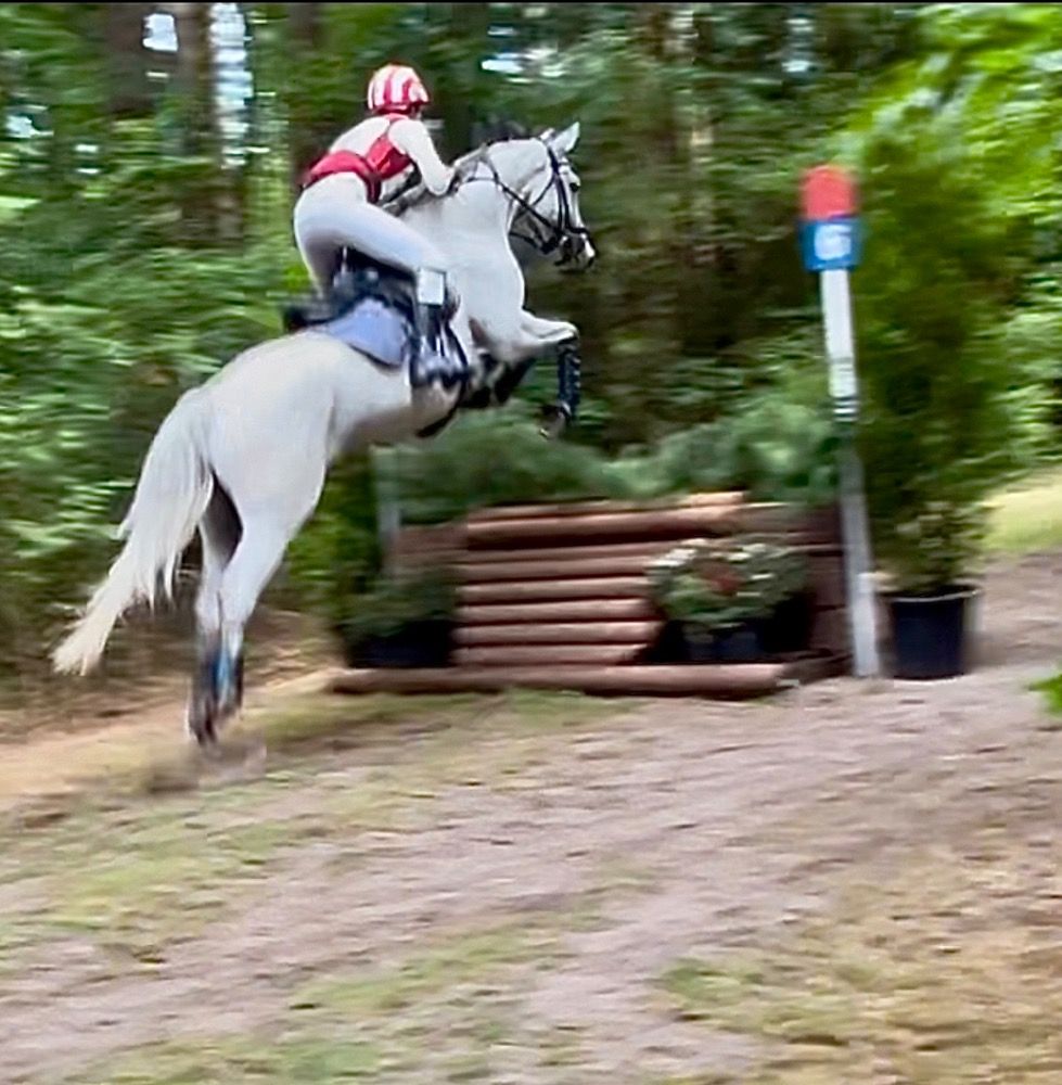 Eventingpaard