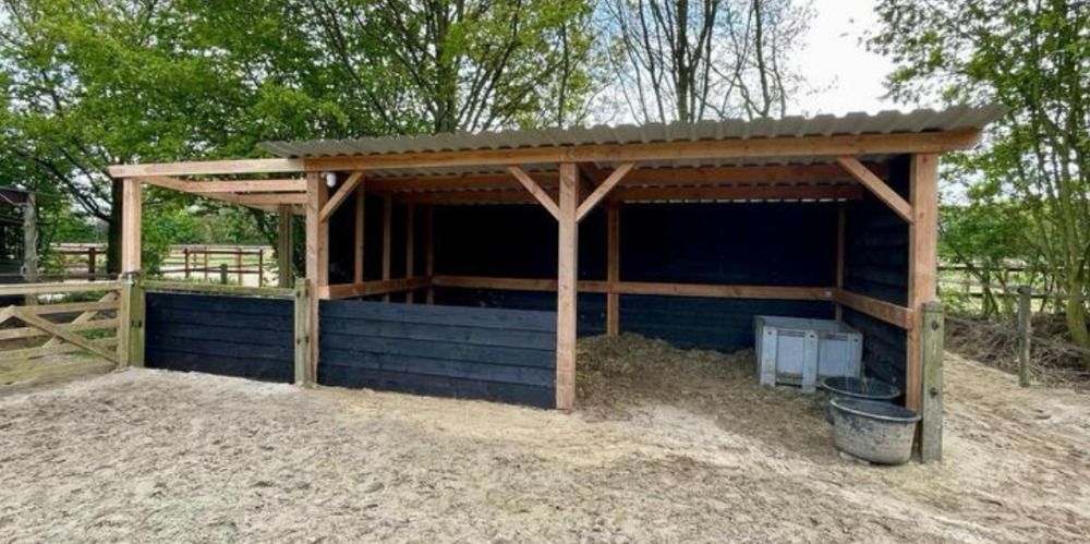 Unieke kans opfokplek voor 1 merrieveulen. Komt samen met ons veulen aan huis. - Foto 2