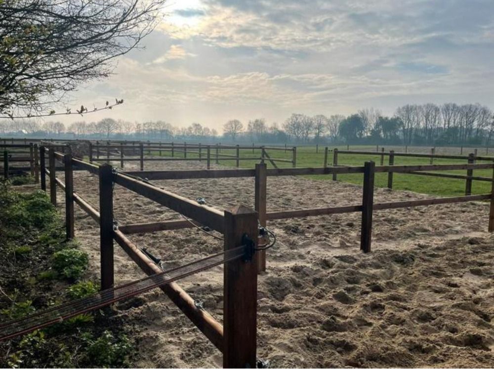 Unieke kans opfokplek voor 1 merrieveulen. Komt samen met ons veulen aan huis. - Foto 4