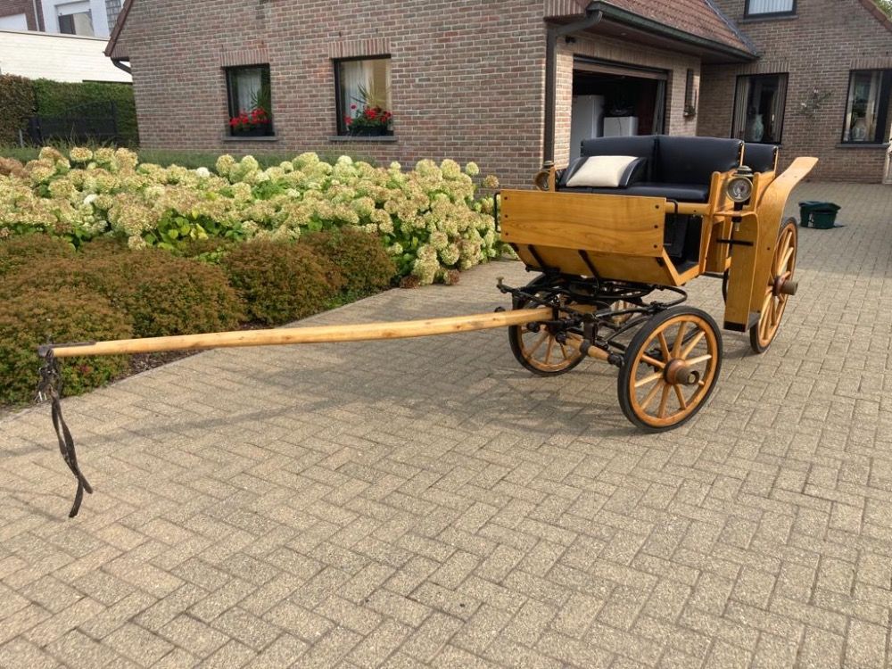 aangespannen pony te koop - Foto 3