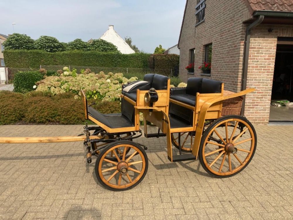aangespannen pony te koop - Foto 6