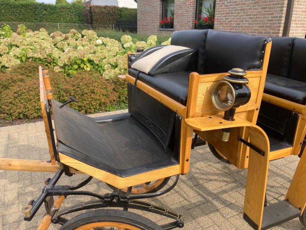 aangespannen pony te koop - Foto 2