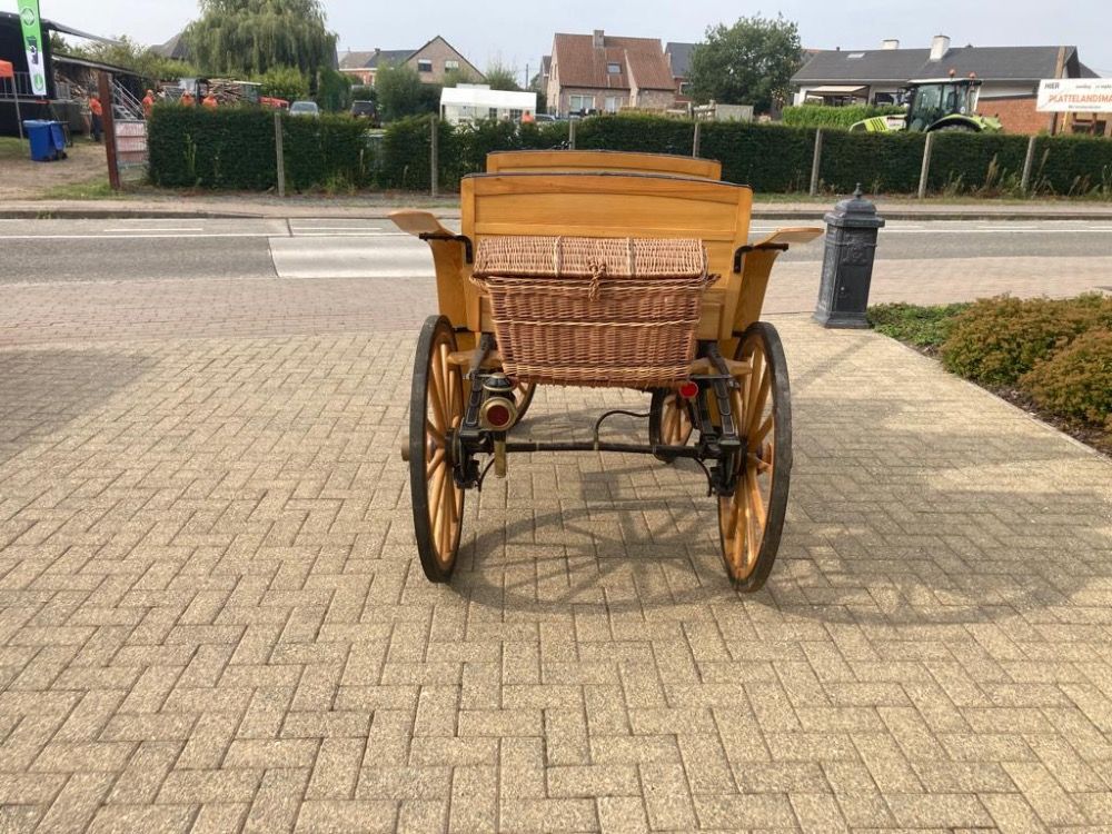 aangespannen pony te koop - Foto 5