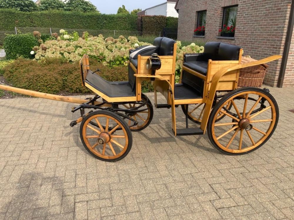 aangespannen pony te koop - Foto 4