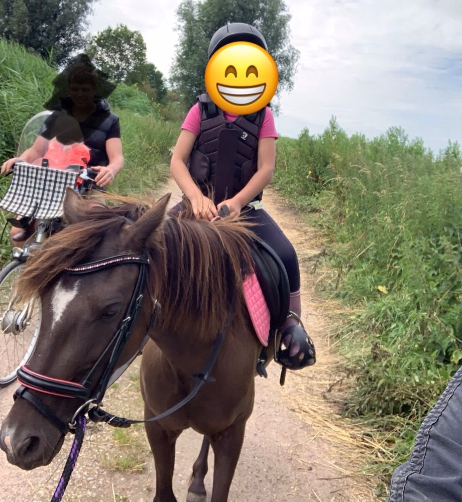 allround-pony Merrie 7 jaar Donkerbruin te koop - Foto 4