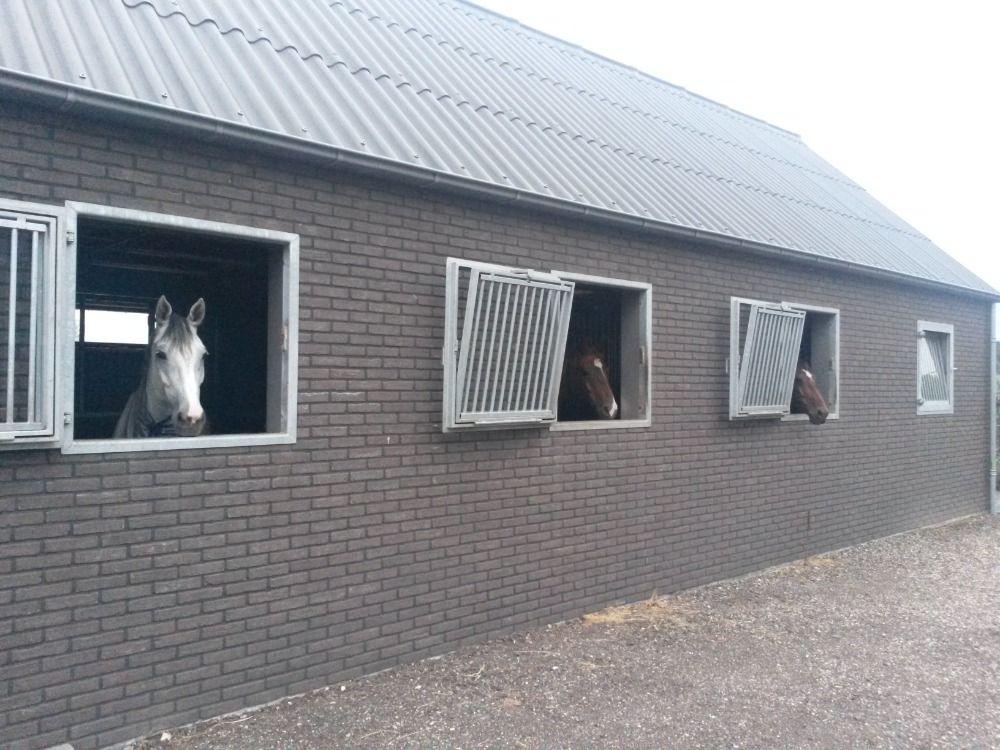 Centraal op de VELUWE - Luxe paardenobject met modern landhuis - 3 badkamers - studio - kelder - Foto 2