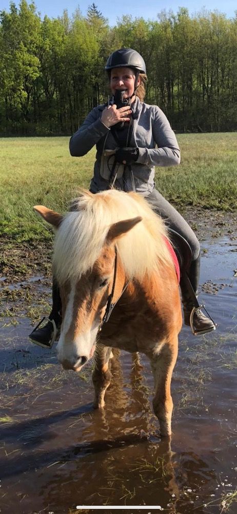 allround-pony Merrie Palomino te koop - Foto 6