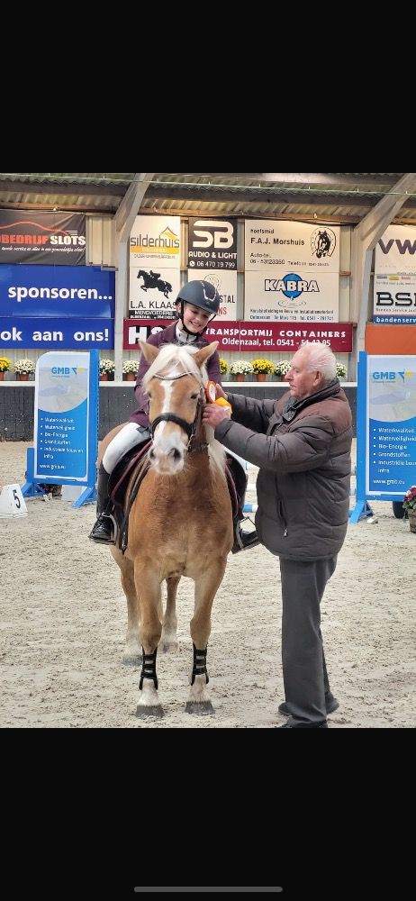 allround-pony Merrie Palomino te koop - Foto 4