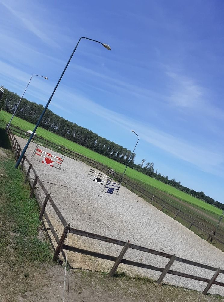 Pensionstal met weidegang en faciliteiten etc.