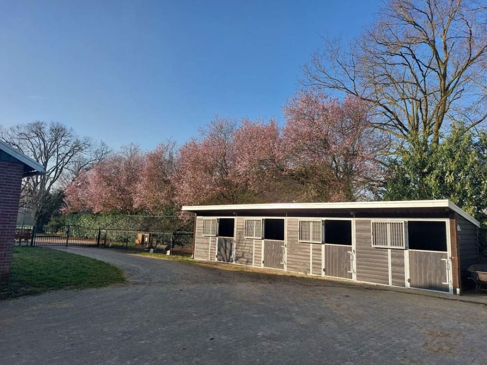 Pensionstal met weidegang en faciliteiten etc. - Foto 4