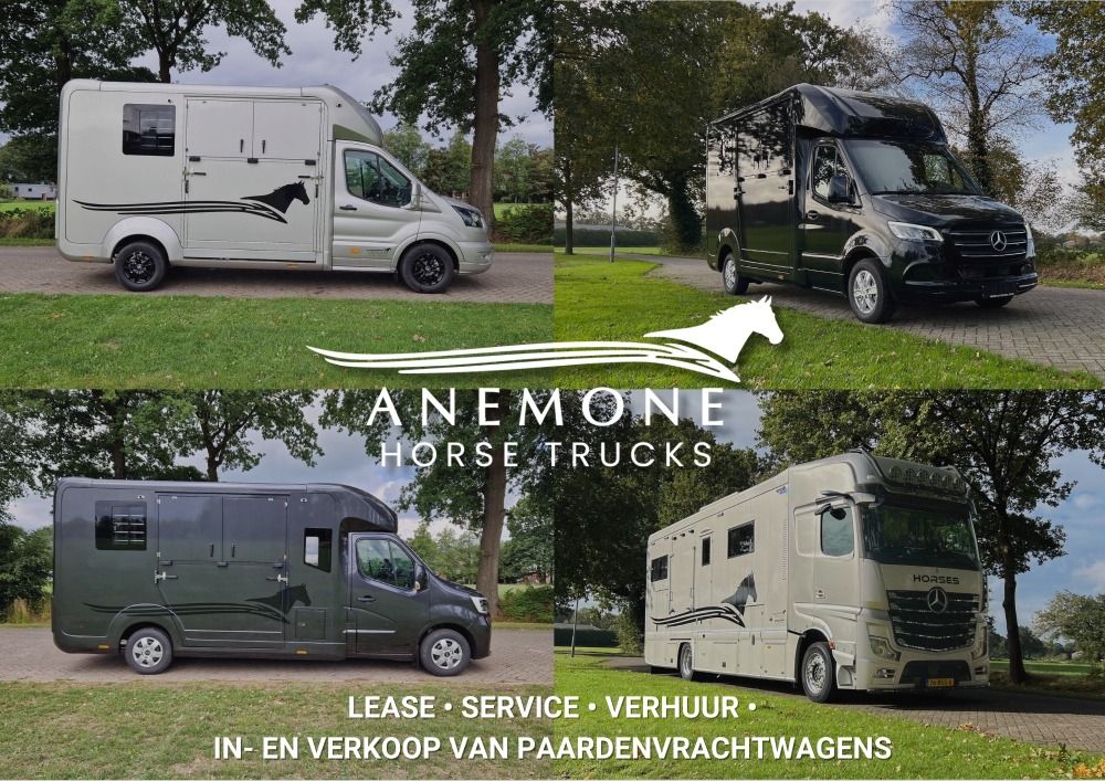 ANEMONE HORSE TRUCKS - Main photo