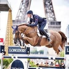 BWP springpaard Hengst 1 jaar Bruin te koop - Foto 3