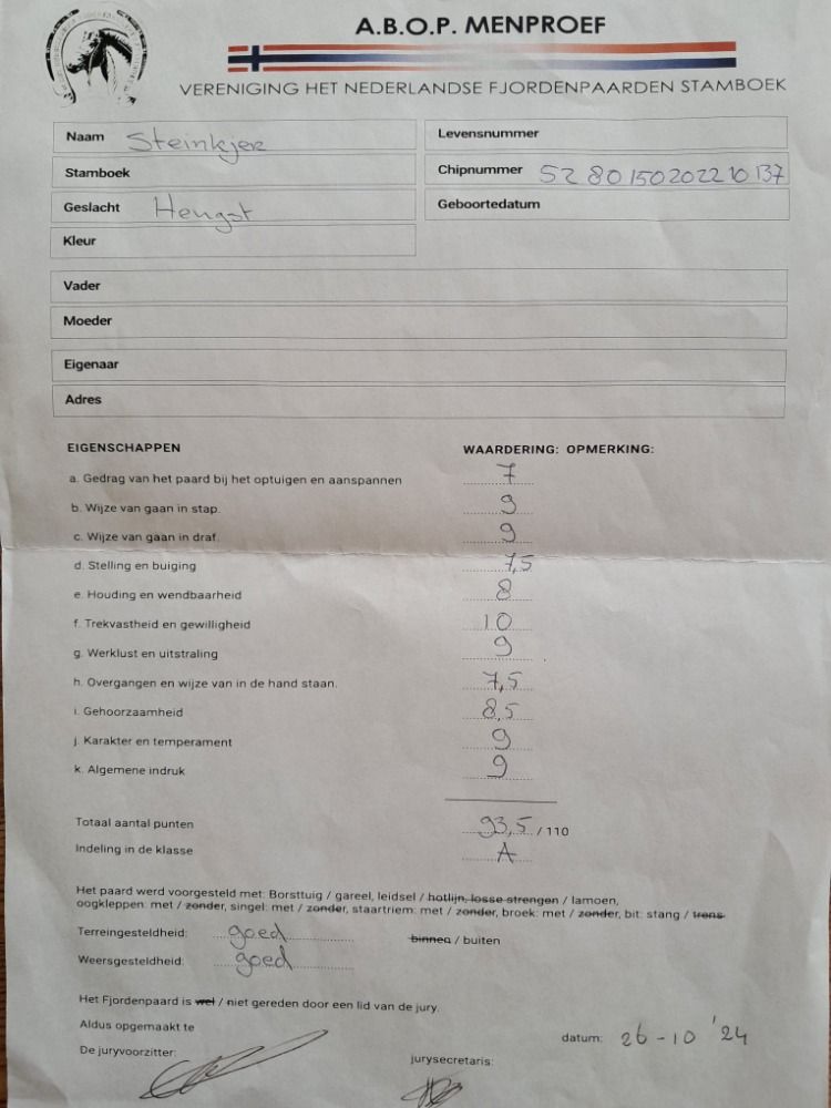 Ander stamboek dekhengst Hengst 4 jaar Andere te koop - Foto 6