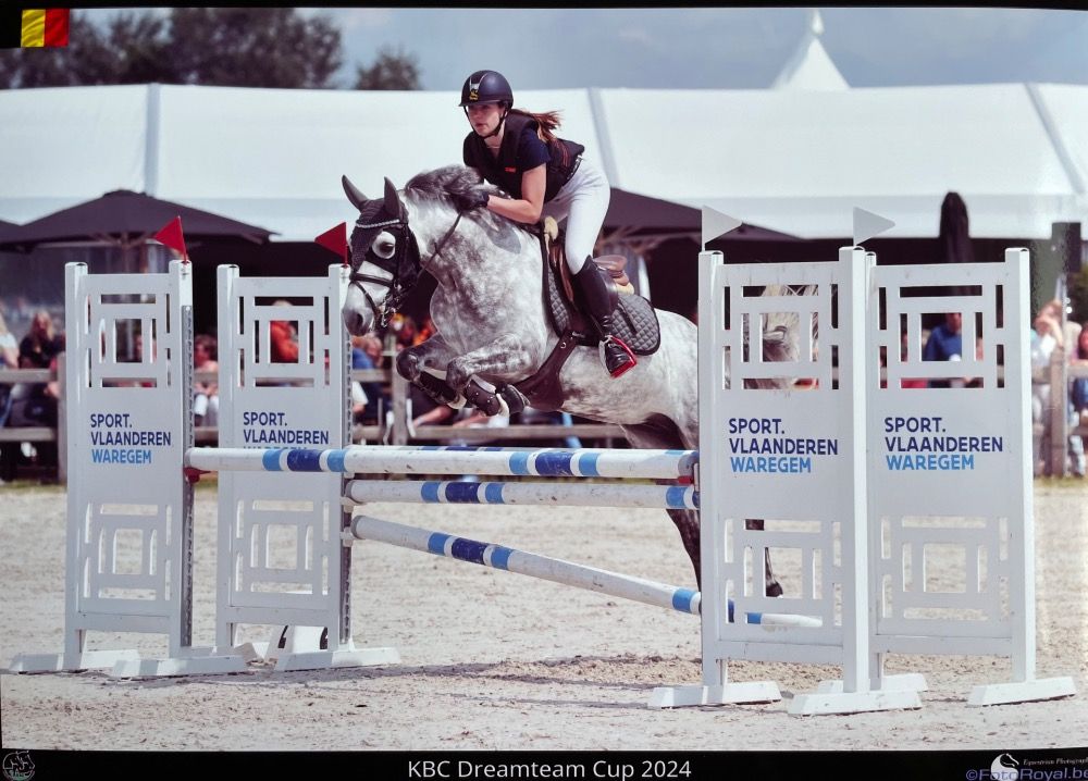 9jarige sportpony