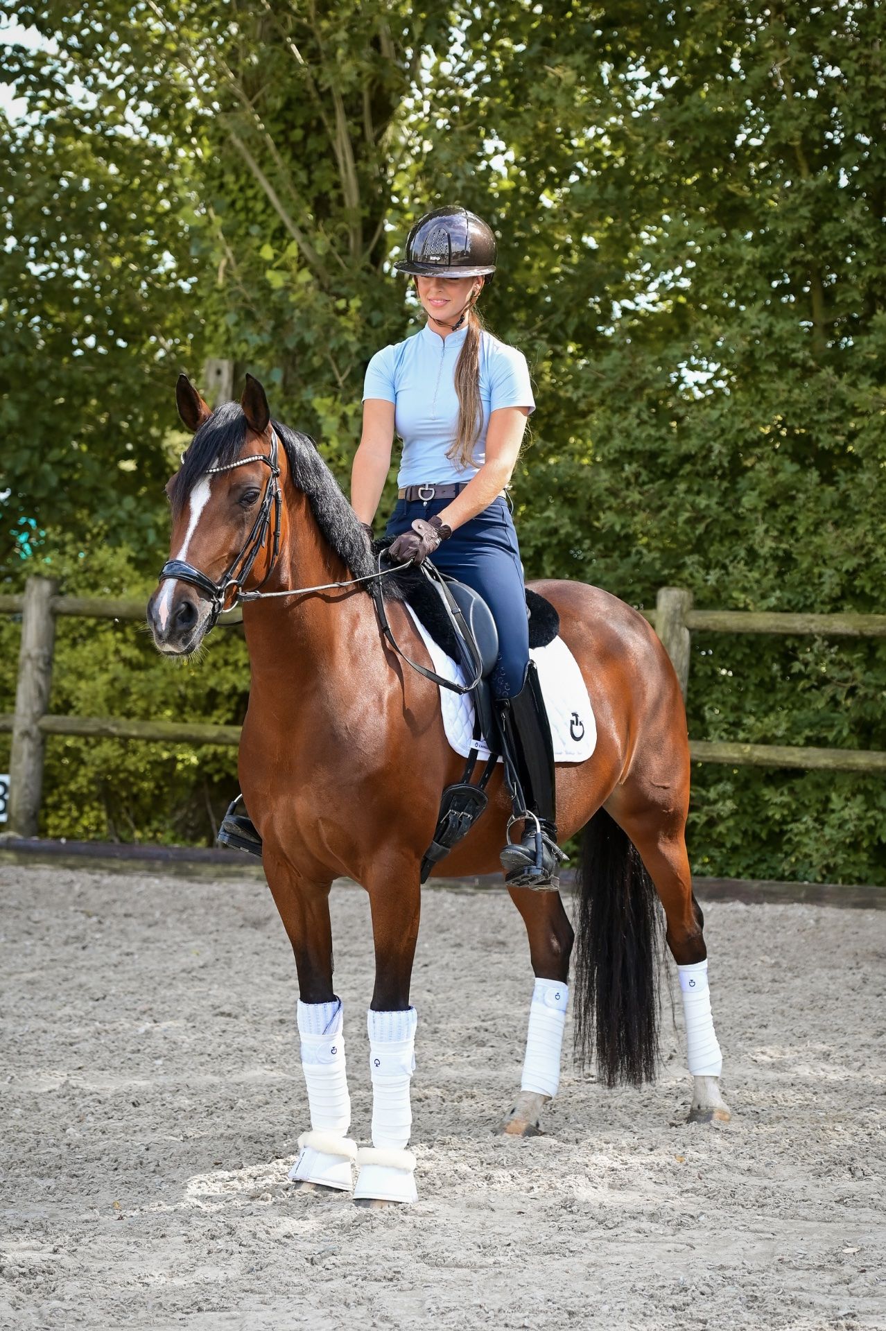 welsh dressuurpony merrie 8 år bruin till salu - Foto 2
