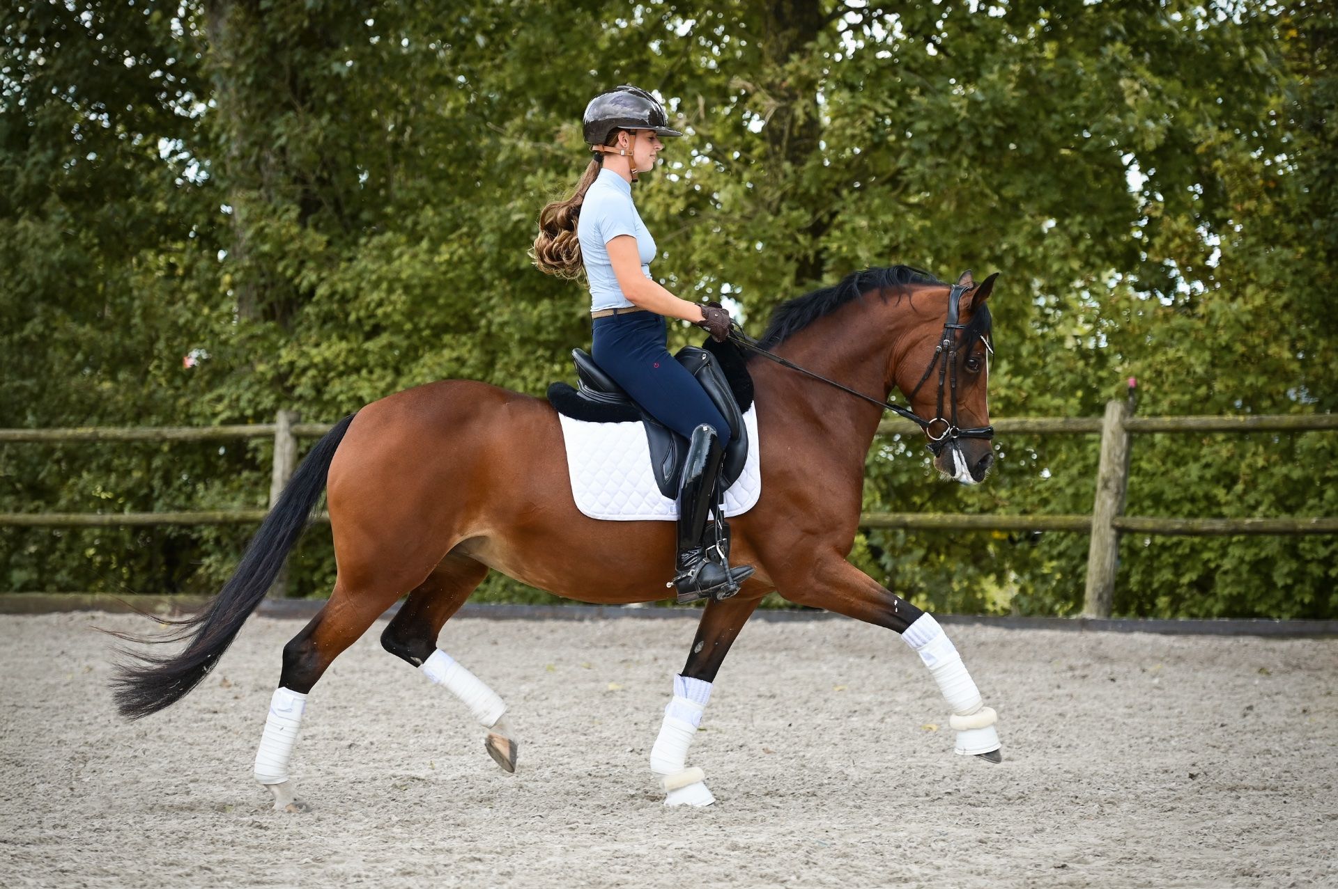 Framtida FEI-dressyrponny