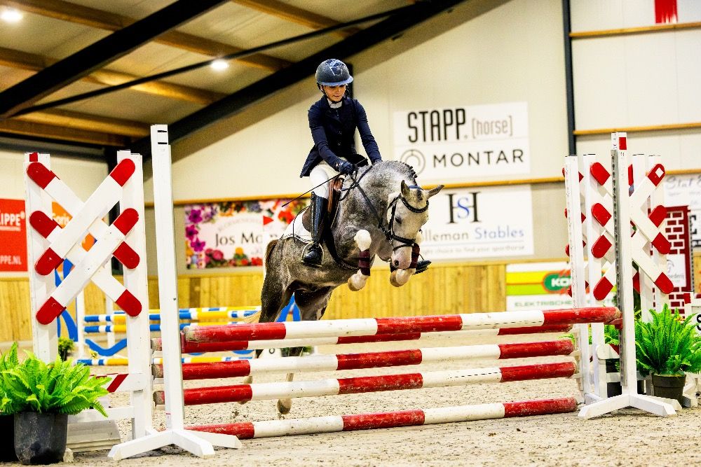 Hunter pony/ Sportpony