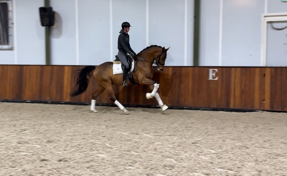 7 jarige getalenteerde ruin