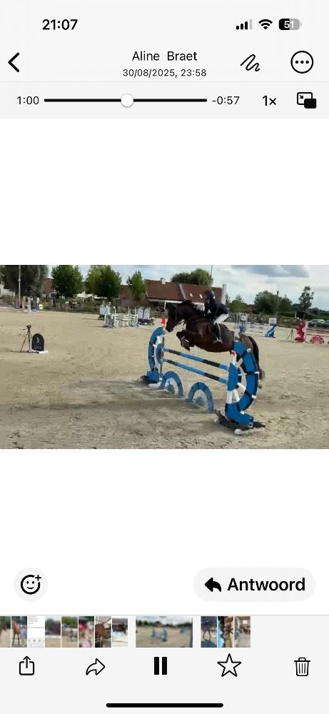 Spring paard