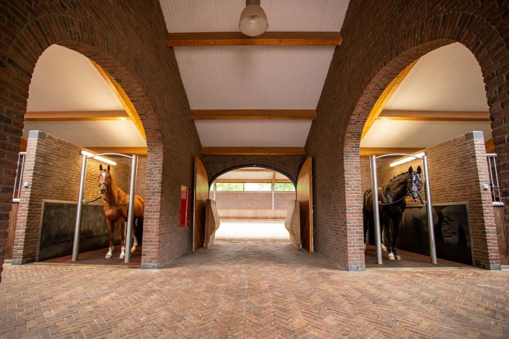 Enkele boxen beschikbaar op Paardensportcentrum De Kienehoef - Foto 3