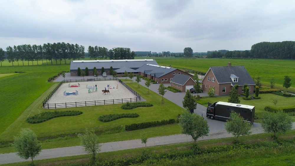 DOORLOPEND PAARDEN GEZOCHT! OOK MET BEMERKINGEN!