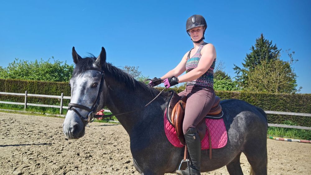 bwp springpaard ruin 4 Jahre alt schimmel zu verkaufen - Foto 3
