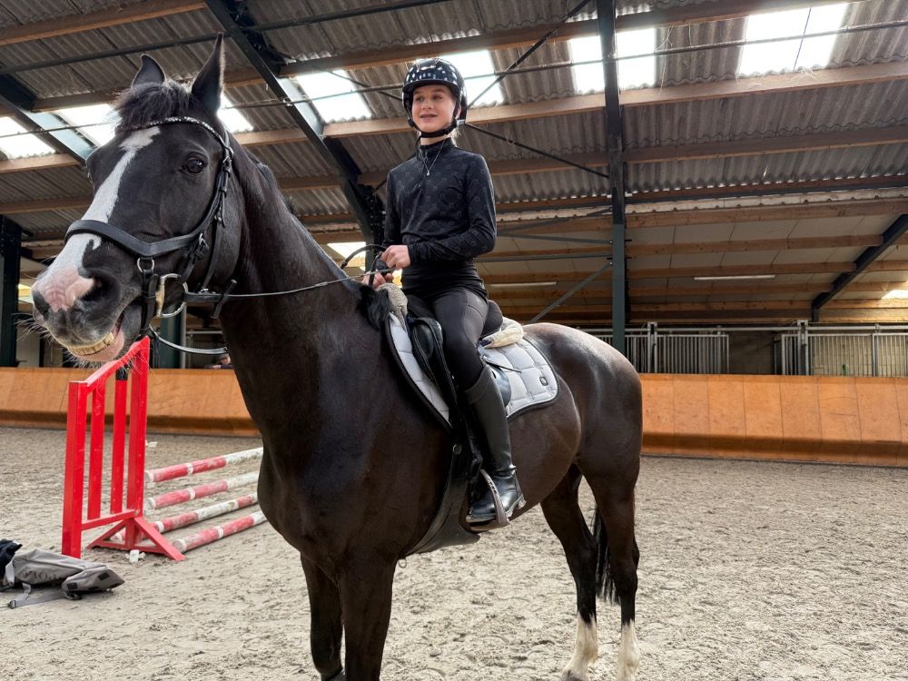 KWPN paard Merrie 10 jaar Zwart te koop - Foto 4