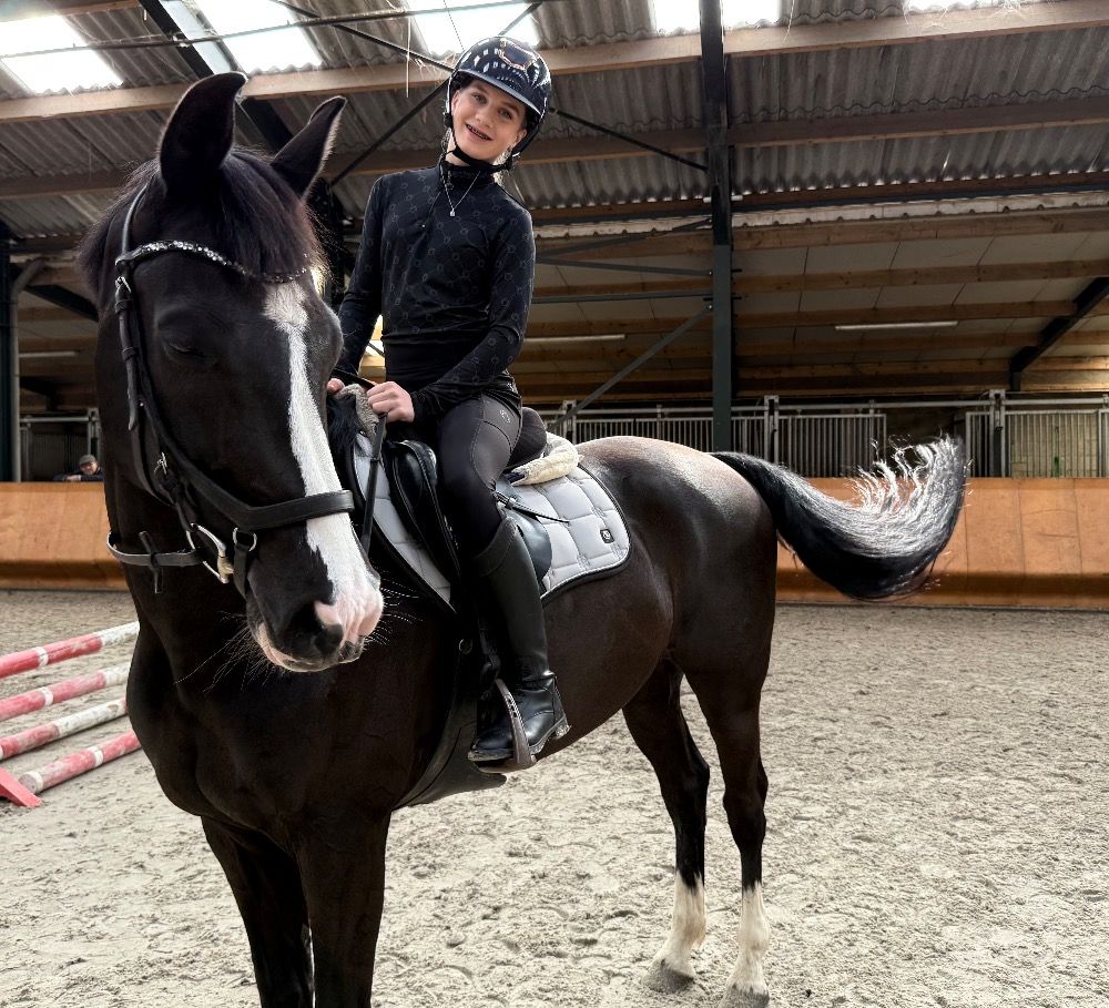 KWPN paard Merrie 10 jaar Zwart te koop - Foto 2
