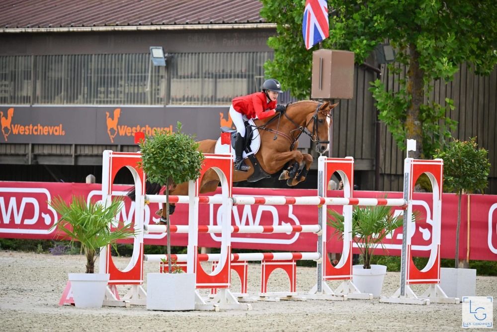 Duitse rijpony springpony Ruin 12 years old Vos for sale - Photo 4
