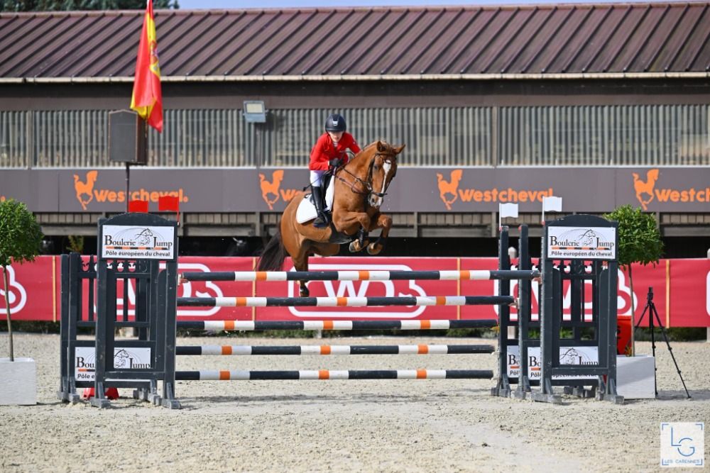 Duitse rijpony springpony Ruin 12 years old Vos for sale - Photo 6