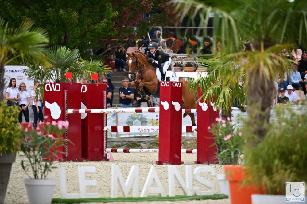 DUITSE SPRINGPONY - GRAND PRIX - EM - ONDERDEEL VAN DE FAMILIE