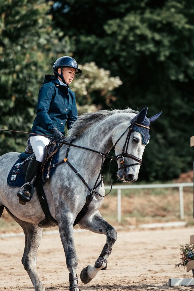Show Jumping Horse Show Jumper Mare Moul