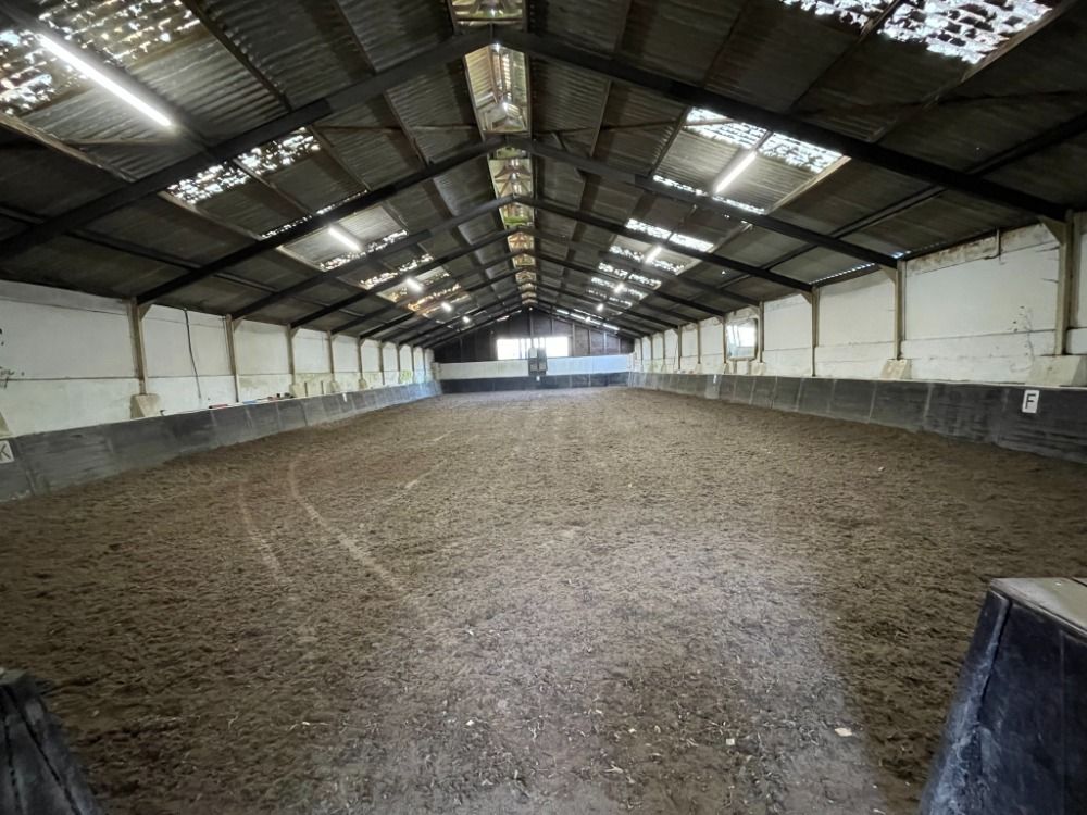 Ede Een kleinschalige pensionstalling met paarden te lease en les - Foto 5