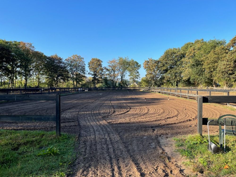 Ede Een kleinschalige pensionstalling met paarden te lease en les - Foto 2