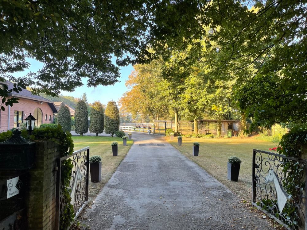 Ede Een kleinschalige pensionstalling met paarden te lease en les