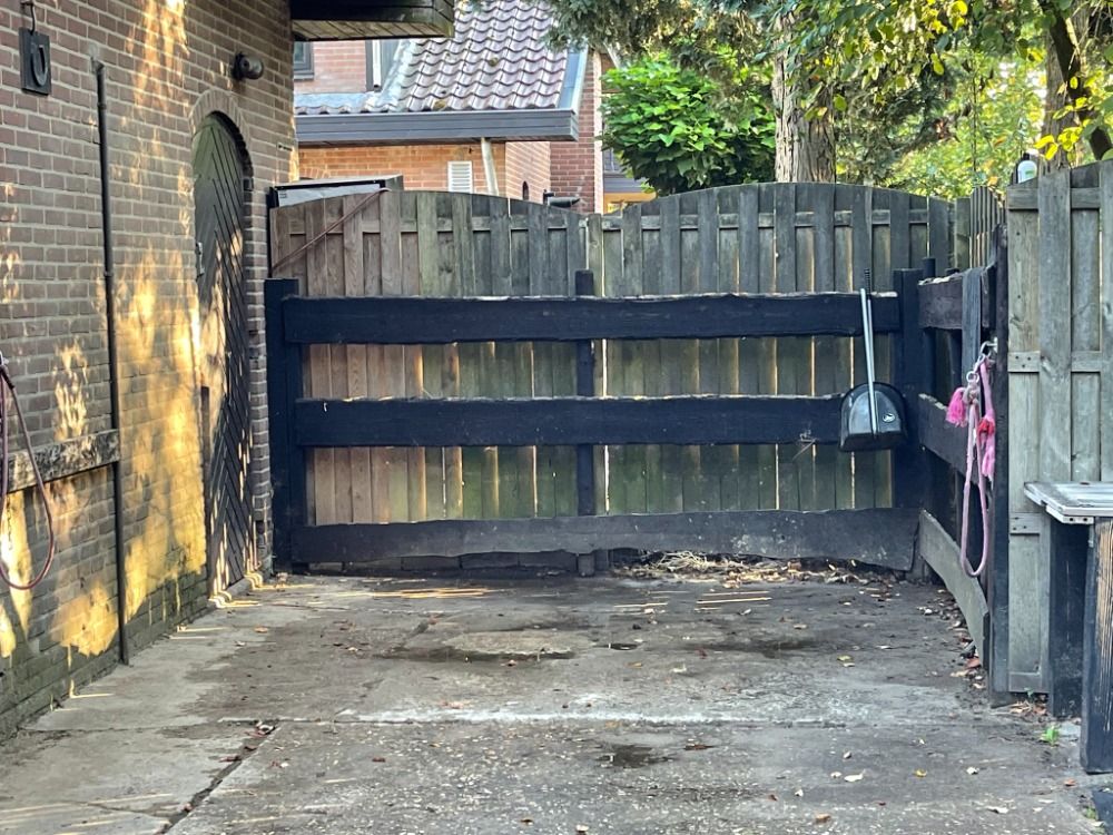 Ede Een kleinschalige pensionstalling met paarden te lease en les - Foto 6